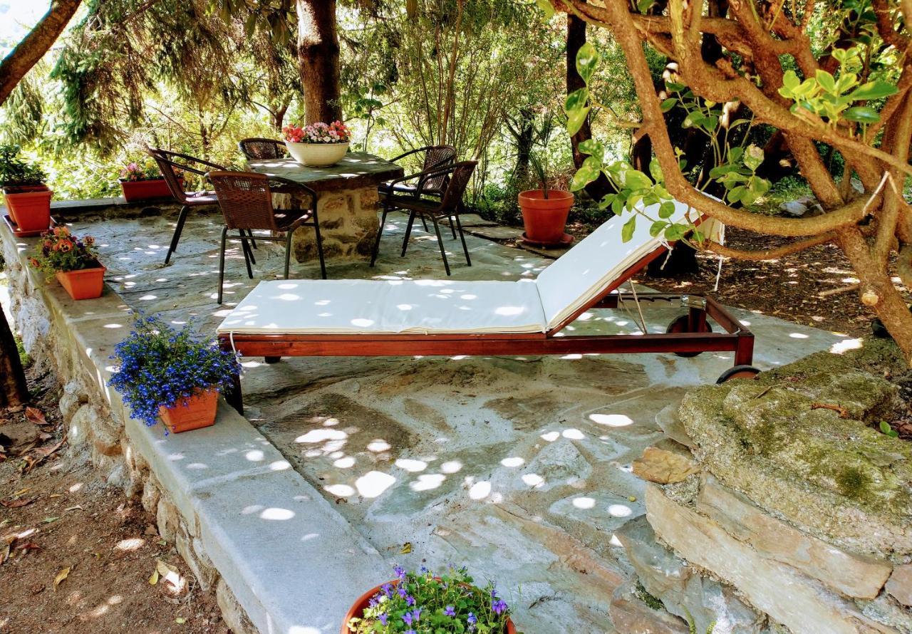 Casa Visnenza Bed & Breakfast Capo di Ponte 외부 사진